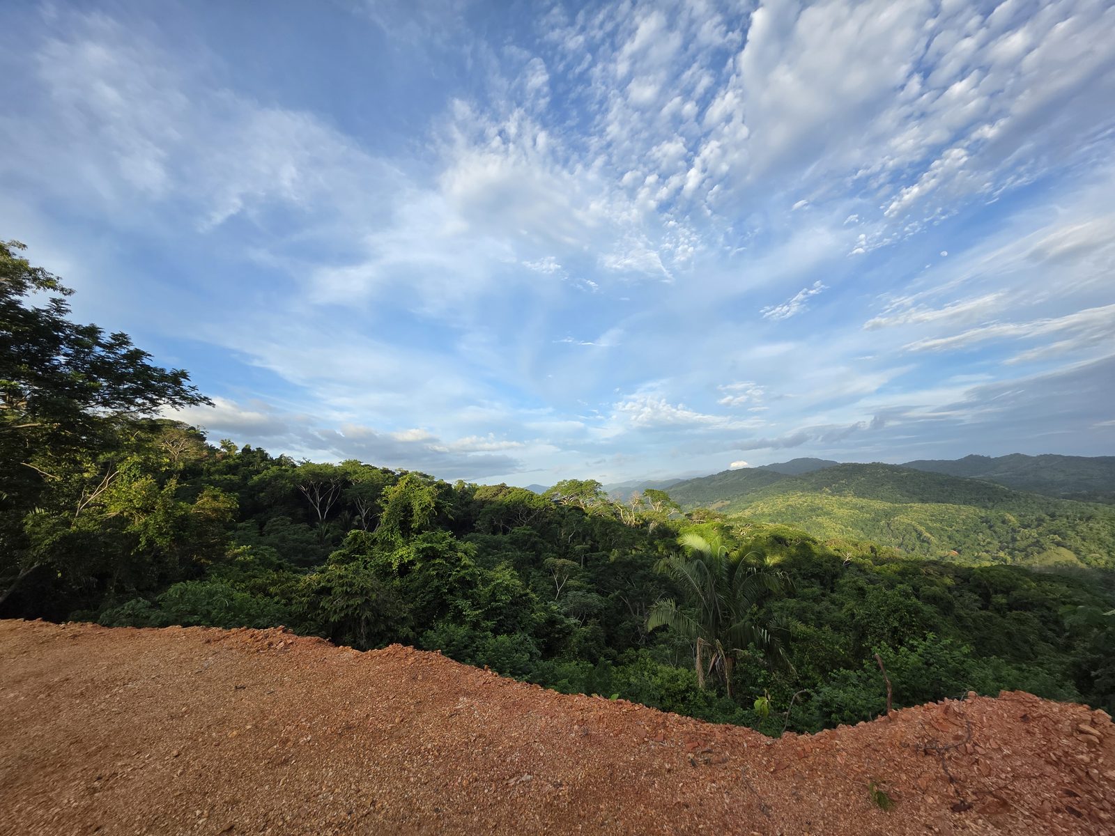 La vue sur la jungle et les montagnes depuis le terrain